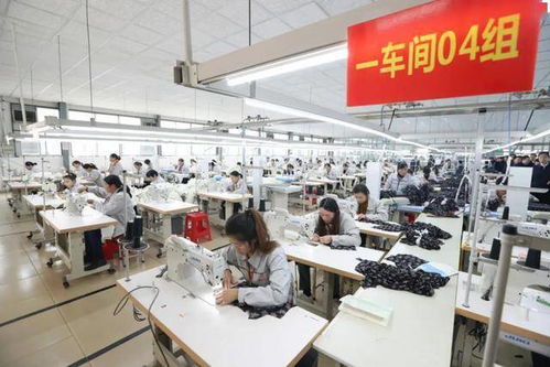 挺起高質(zhì)量發(fā)展的堅實脊梁——全市產(chǎn)業(yè)集聚區(qū)發(fā)展綜述與技術(shù)服務(wù)支撐