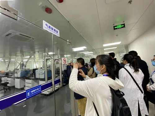 信息技術(shù)咨詢服務(wù)為落實(shí)‘六穩(wěn)六保’注入強(qiáng)勁動力 中國-東盟檢驗(yàn)檢測認(rèn)證高技術(shù)服務(wù)集聚區(qū)賦能企業(yè)騰飛
