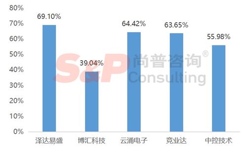 軟件和信息技術(shù)服務(wù)業(yè)企業(yè)IPO募投項(xiàng)目設(shè)計(jì)與審核要點(diǎn)——以信息技術(shù)咨詢服務(wù)為例
