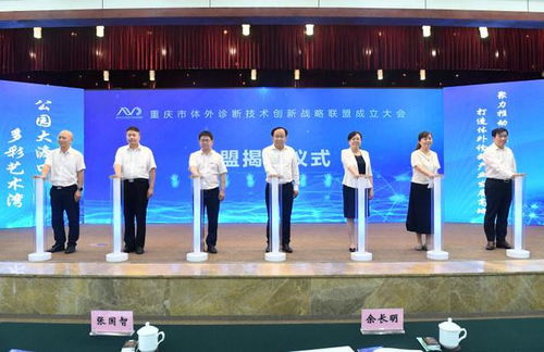 重慶市體外診斷技術(shù)創(chuàng)新戰(zhàn)略聯(lián)盟成立，以信息技術(shù)服務(wù)為引擎，助力打造全國產(chǎn)業(yè)發(fā)展高地